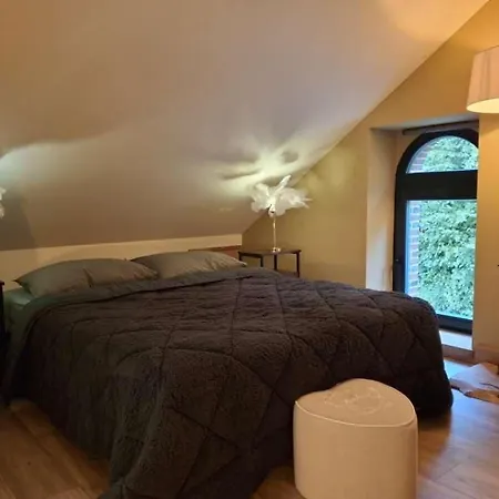 Ancien Moulin Dans Un Cadre D Exception * Ferrieres-la-Verrerie