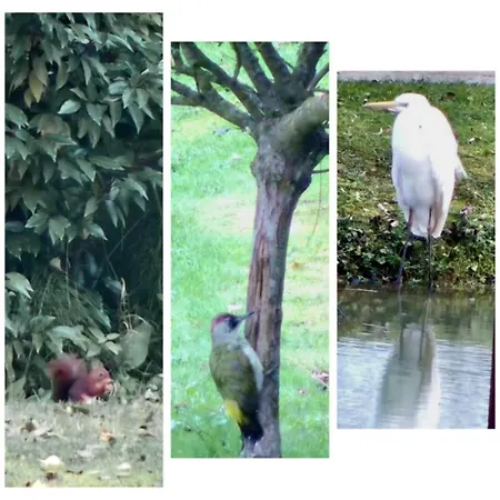 Ancien Moulin Dans Un Cadre D Exception Vakantiehuis Ferrieres-la-Verrerie