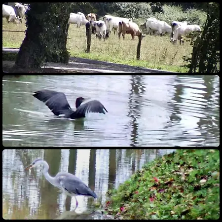 Ancien Moulin Dans Un Cadre D Exception Vakantiehuis *
