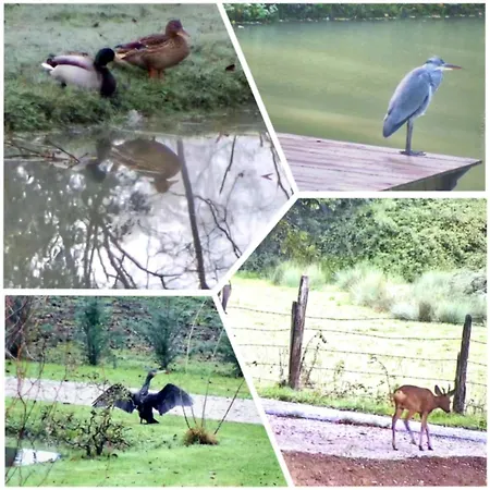 Ancien Moulin Dans Un Cadre D Exception Vakantiehuis