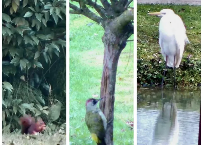 Ancien Moulin Dans Un Cadre D Exception Casa vacanze Ferrieres-la-Verrerie