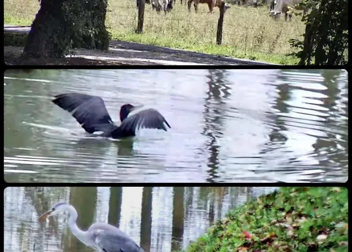 Ancien Moulin Dans Un Cadre D Exception Casa vacanze *