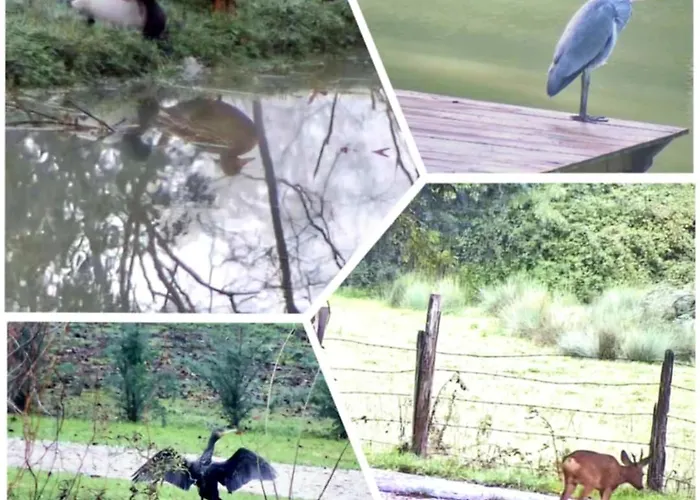 Ancien Moulin Dans Un Cadre D Exception Casa vacanze